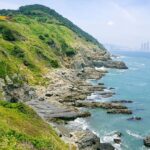 Busan: Haedong Yonggungsa Temple, Camellias Island & More - What Travelers Can Expect