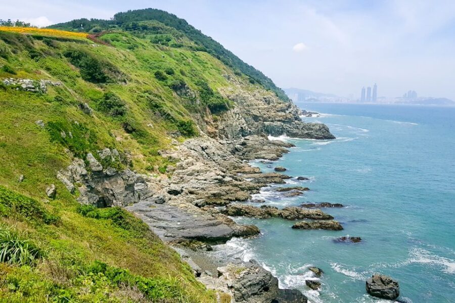 Busan: Haedong Yonggungsa Temple, Camellias Island & More - What Travelers Can Expect