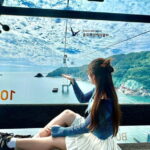 Busan: Sightseeing Tour for Cruise Passengers - Practical Tips for Booking and Enjoying the Tour