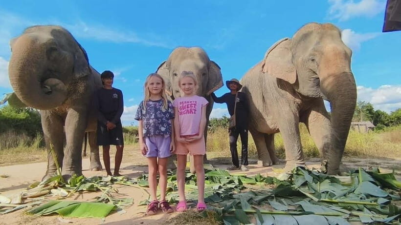 Cambodia Elephants Haft Day Experiences from Siem Reap - FAQ