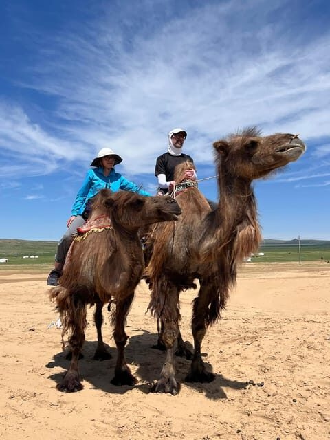 Camel Trails and Bird Tales: Discovering Elsen Tasarkhai - The Value for Money