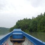 Can Gio Day Tour: Monkeys, Crocodiles, Canoe & Seafood Lunch - The Sum Up: Who Will Love This Tour?