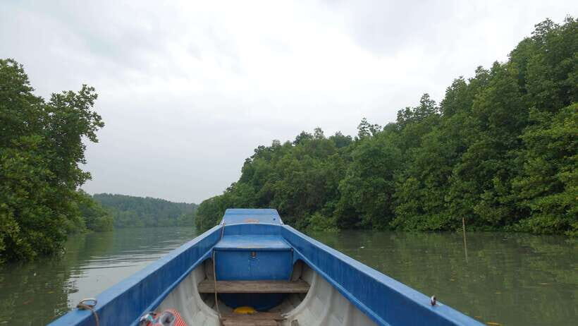 Can Gio Day Tour: Monkeys, Crocodiles, Canoe & Seafood Lunch - The Sum Up: Who Will Love This Tour?