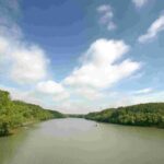 Can Gio: Discovery Vam Sat EcoPark - Can Gio Island Day Trip - Transport and Group Experience