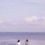 Can Gio Mangrove Forest Tour With Authentic Thanh An Island - Exploring Can Gio Mangrove Forest