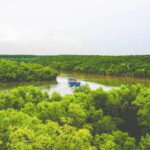 Can Gio UNESCO Biosphere, Monkey Island Private Day Tour - What Makes This Tour Stand Out