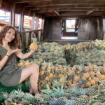 Can Tho: A Real Mekong Tour, Floating Market, Cacao & Life's - The Itinerary: What to Expect on This Full-Day Mekong Tour