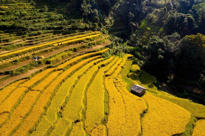 Cao Bang Loop Tour 3D2N by Motorbike, Car or Jeep - Day 1: Pac Bo and Cao Bang City