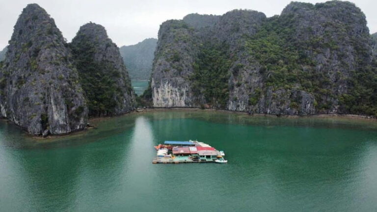 CAT BA :2D1N Lan Ha bay-Ha Long bay with Plankton Excursion - The Real Value: What Sets This Tour Apart