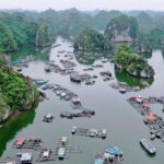 Cat Ba: Lan Ha Bay Halfday Cruise with Kayaking - Practical Details and Considerations