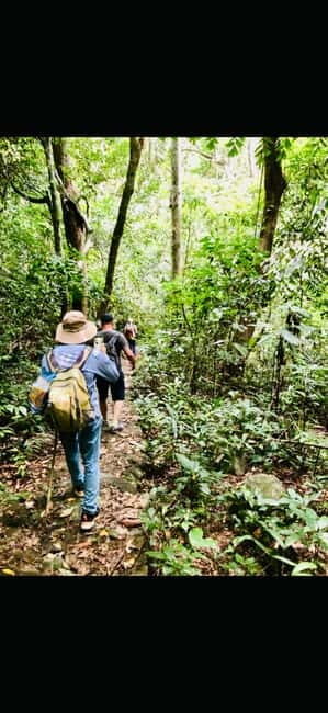 Cat Ba National Park Day Tour - Hiking, Cycling, Kayaking - What’s Included and What to Consider