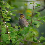 Cat Ba National Park Full Day Trekking from Cat Ba Island - Exploring Viet Hai Village and Local Life