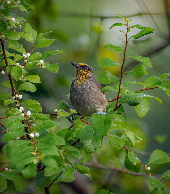 Cat Ba National Park Full Day Trekking from Cat Ba Island - Exploring Viet Hai Village and Local Life