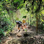 Cat Ba National Park Trekking & Ancient Village Biking - Why This Tour Is a Great Investment