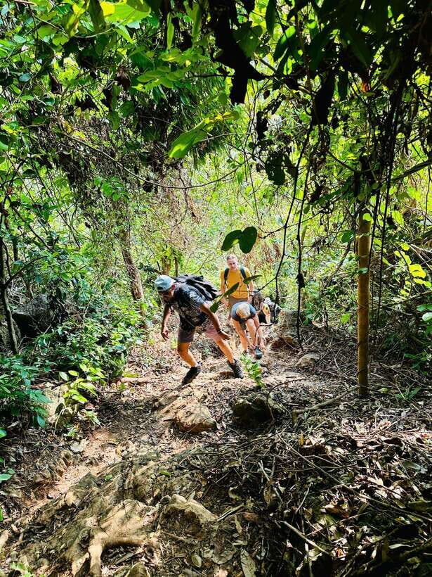 Cat Ba National Park Trekking & Ancient Village Biking - Why This Tour Is a Great Investment