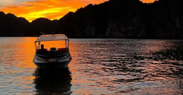 Cat Ba: Sunset and Plankton Bioluminescent Night Kayak - Practical Details and Tips