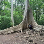 Cat Tien National Park Cycling Tour With Tri An Lake Camping - Day 1: Scenic Hikes and Lakeside Camping