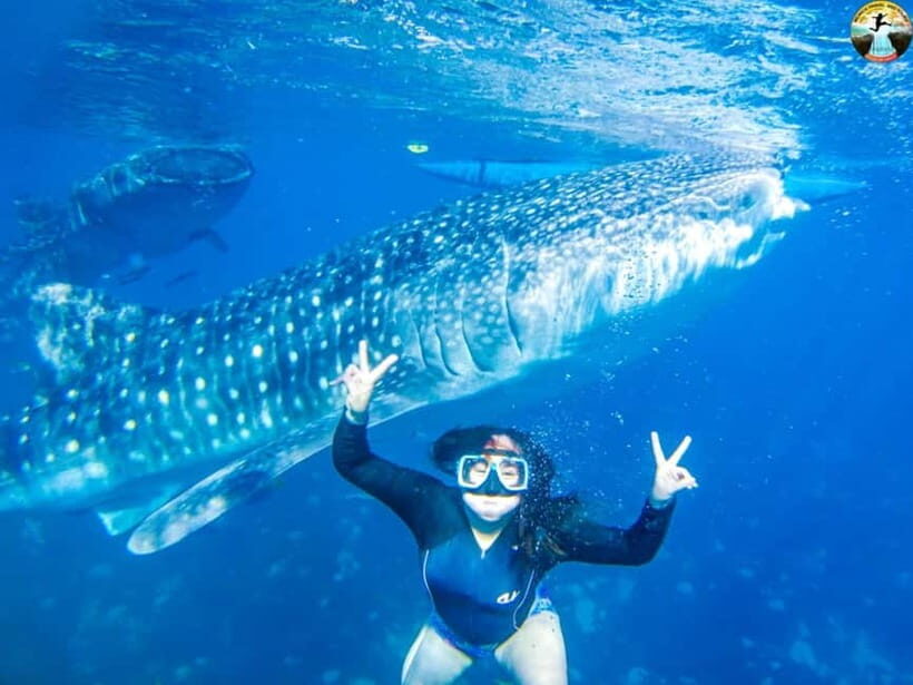 Cebu: 2-Day Island-Hopping, Canyoneering, and Whale Shark - Day One: Island-Hopping and Canyoneering