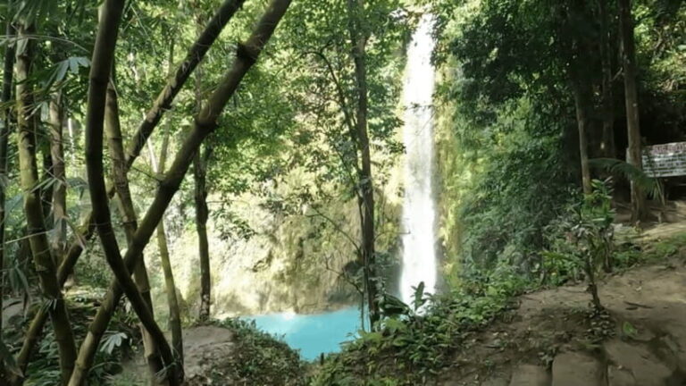 Cebu: Inambakan, Kawasan, and Mantayupan Falls Day Trip - Value and Practicalities