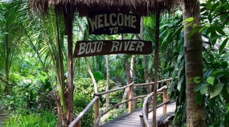 Cebu: Mantayupan Falls, Hermit's Cove & Bojo River Eco Tour - Who Will Love This Tour?
