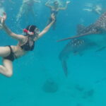 Cebu: Oslob Whale Shark Swimming and Tumalog Falls Tour - The Itinerary: What to Expect