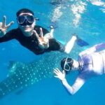 Cebu Oslob: Whale Shark Watching Experience - What’s Included and What’s Not