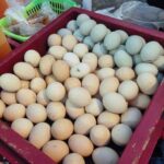 Cebu: Street Food Tour with Local Guide - Exploring Cebu’s Food Scene: What to Expect