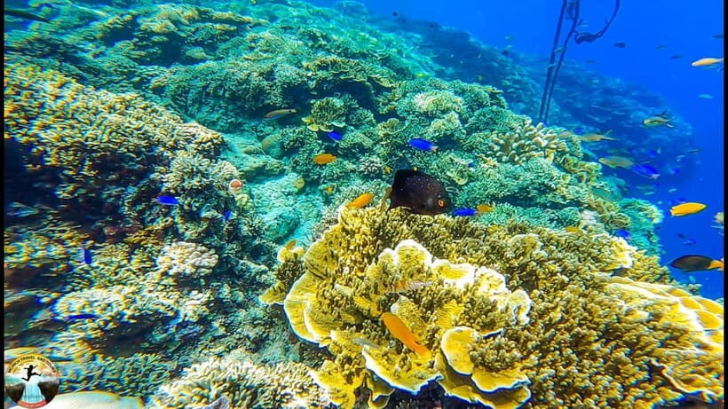 Cebu: Ultimate 3-Day Water Adventure - What Makes This Tour Stand Out?