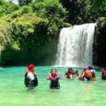 Cebu: Whale Shark Swim and Kawasan Canyoneering Tour - Authentic Insights from Reviewers