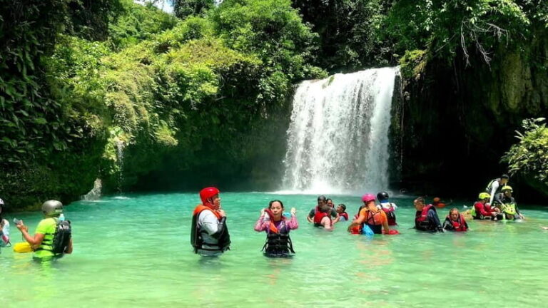 Cebu: Whale Shark Swim and Kawasan Canyoneering Tour - Authentic Insights from Reviewers