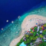 Cebu: Whale Shark, Tumalog, and Moalboal Tour - Who Is This Tour Best For?