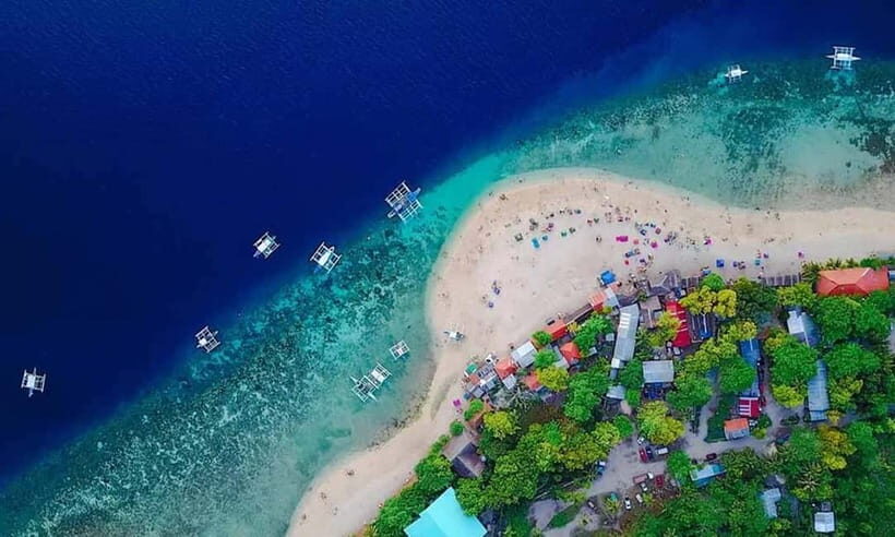 Cebu: Whale Shark, Tumalog, and Moalboal Tour - Who Is This Tour Best For?