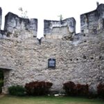 Cebu: Whale Shark Watching & Heritage Tour with Dive Option - Who Will Love This Tour?