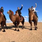 Central Mongolia Guided 3-Day Comfortable Tour - What’s Included and What to Consider