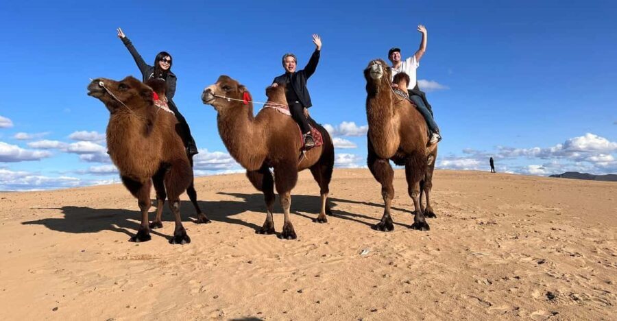 Central Mongolia Guided 3-Day Comfortable Tour - What’s Included and What to Consider