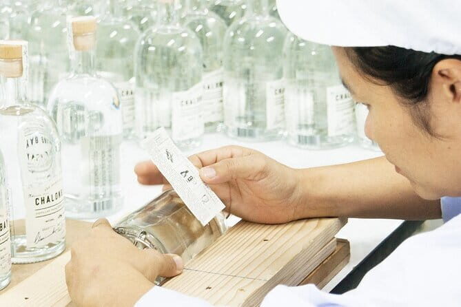 Chalong Bay Rum Distillery Experience - A Detailed Look at the Tour Itinerary