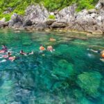 Cham Island: Experience Snorkeling and Lunch In A Day Tour - What Travelers Say: The Real Experiences