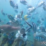 Cham Island: Underwater Walking & Snorkeling Tour - What to Expect from the Cham Island Tour