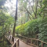 Chang Mai: Doi Inthanon Day Tour w/Waterfalls & Hilltribes - What Makes This Tour Stand Out?