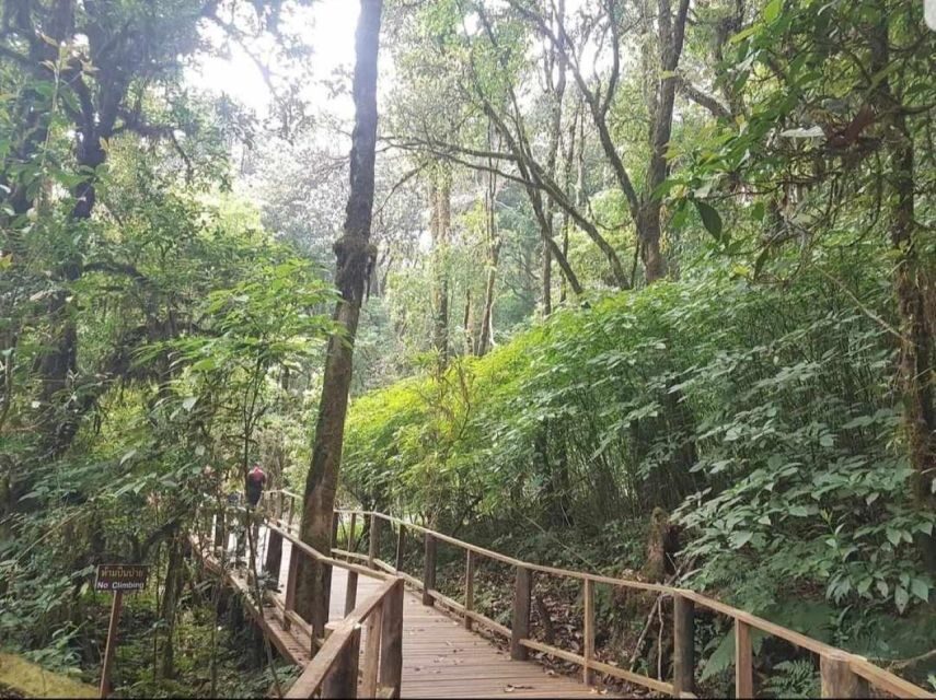 Chang Mai: Doi Inthanon Day Tour w/Waterfalls & Hilltribes - What Makes This Tour Stand Out?