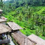 Charter Standard Vehicle with Driver at Bali- 5 Hours Usage - Final Thoughts