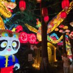 Chengdu at night - What You Can Expect from the Experience