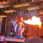 Chengdu Night: VIP Seat Opera Show or Back Alley Food Tour - The VIP Opera Show Experience