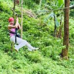 Chiang Mai 3 in 1 Zipline, Elephants and Sticky Waterfall - Who Should Consider This Tour?