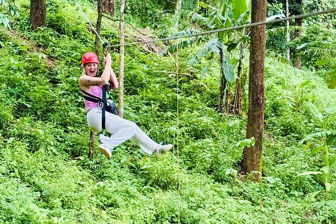 Chiang Mai 3 in 1 Zipline, Elephants and Sticky Waterfall - Who Should Consider This Tour?