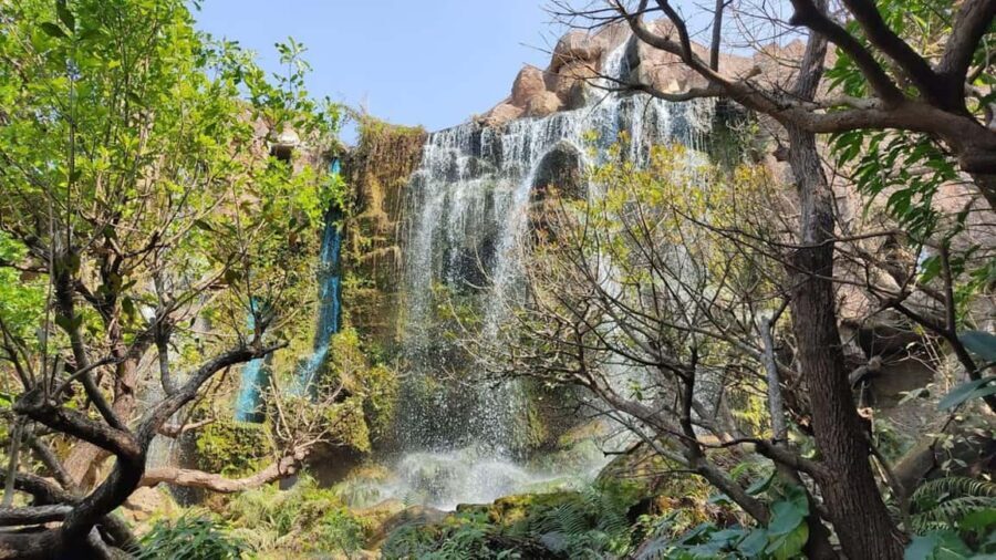 Chiang Mai: Angel Waterfall & Sticky Waterfall & Wat Ban Den - Final Thoughts