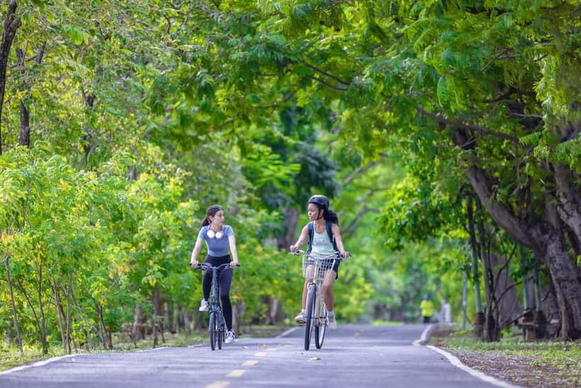 Chiang Mai Bicycle: Into The Lanna Countryside Guided Tour - Final Words