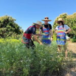 Chiang Mai : Cook in Farm, Market tour & Go by a Local Train - Visiting the Organic Farm: From Garden to Plate