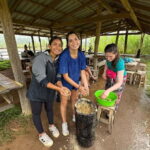 Chiang Mai: Day for Elephant Observation Only Half-day Trip - Who Is This Tour Best For?