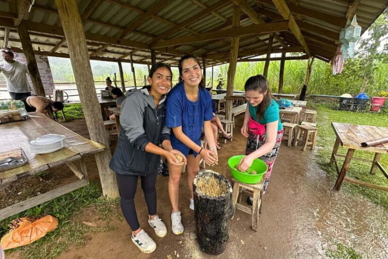 Chiang Mai: Day for Elephant Observation Only Half-day Trip - Who Is This Tour Best For?